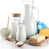 milk & dairy products