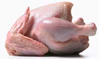 chicken meat