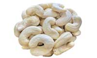 cashew nuts (kaju)