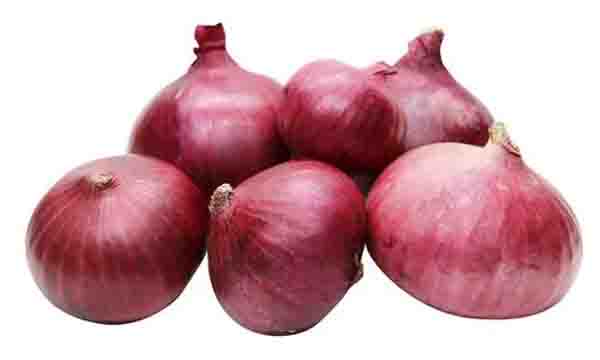 onion