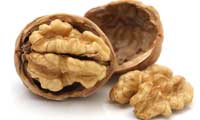 walnut