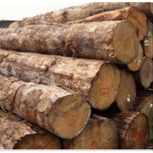 Pine Logs