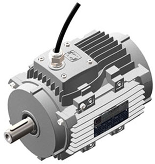 HIGH TEMPERATURE MOTORS