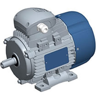 STANDARD F CLASS MOTORS